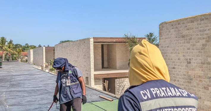 Granule Expose Green